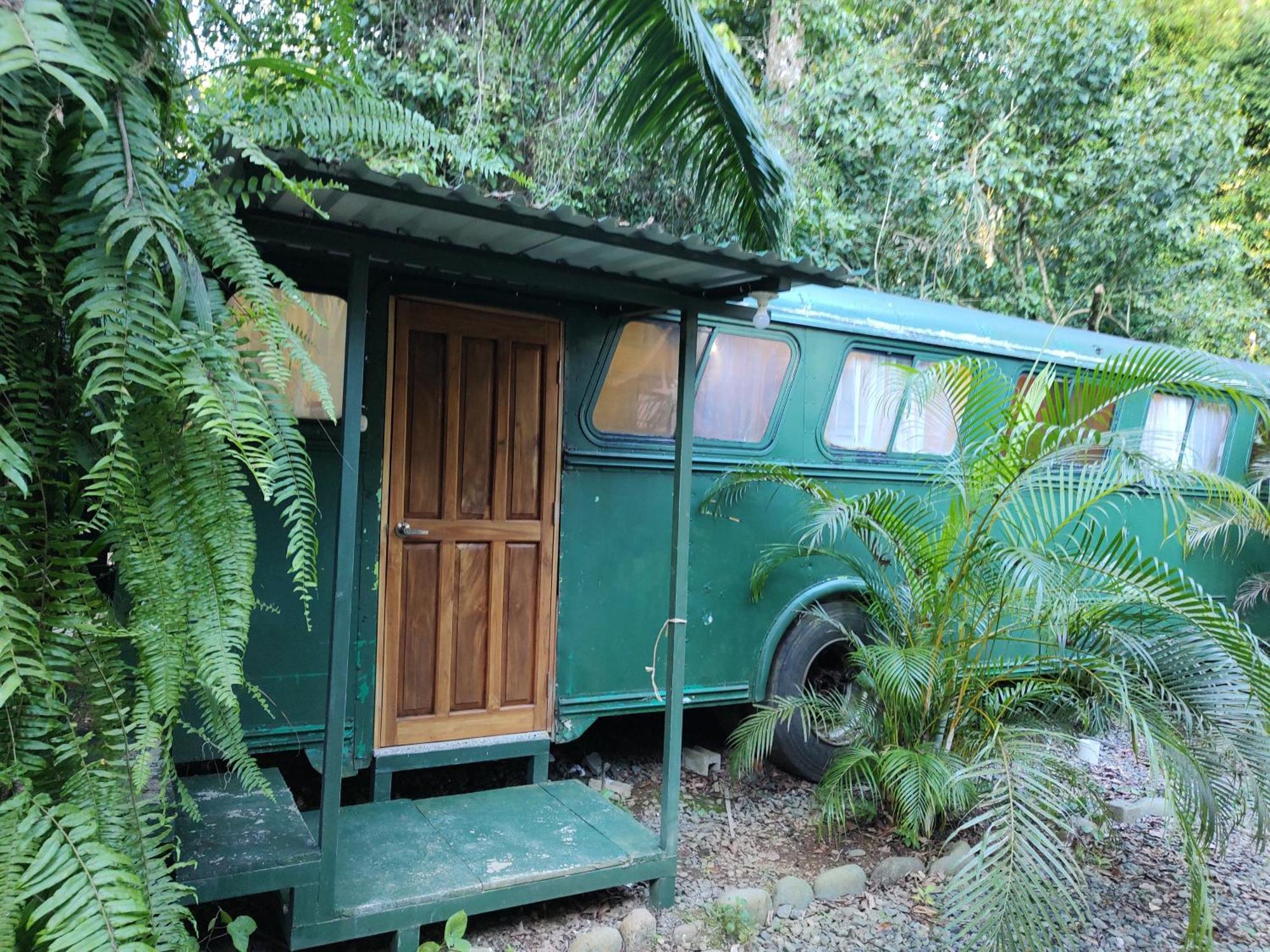 Cool Waters Jungle Villas Uvita Eksteriør billede