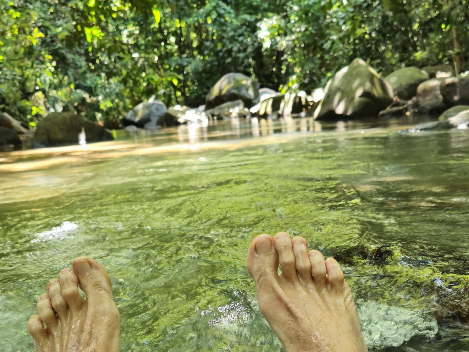 Cool Waters Jungle Villas Uvita Eksteriør billede