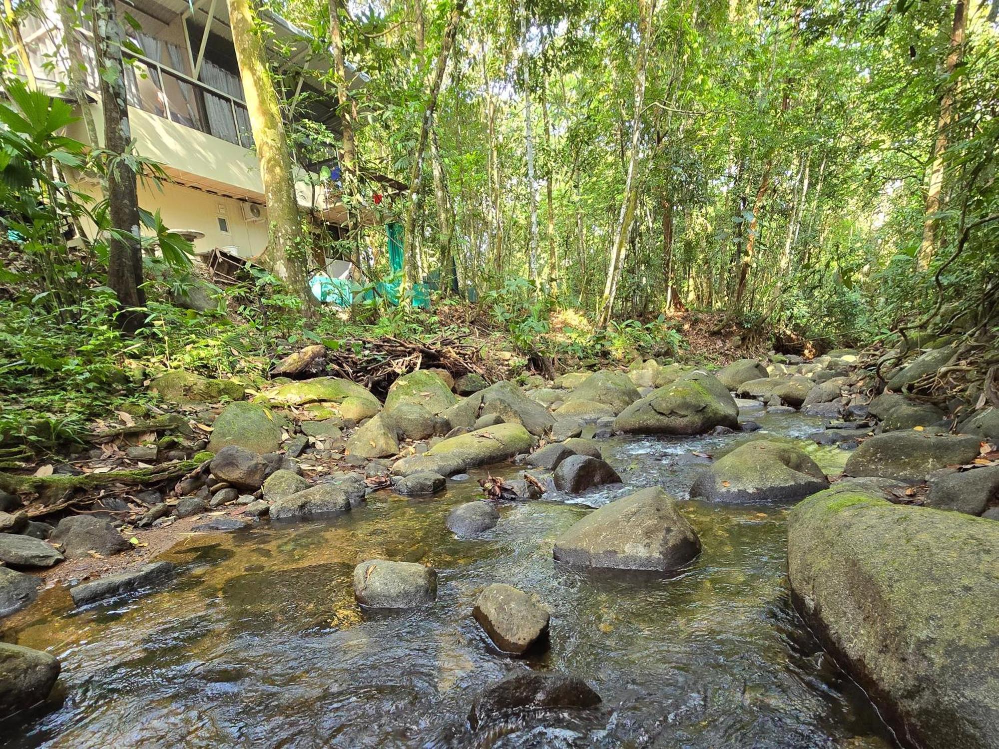 Cool Waters Jungle Villas Uvita Eksteriør billede